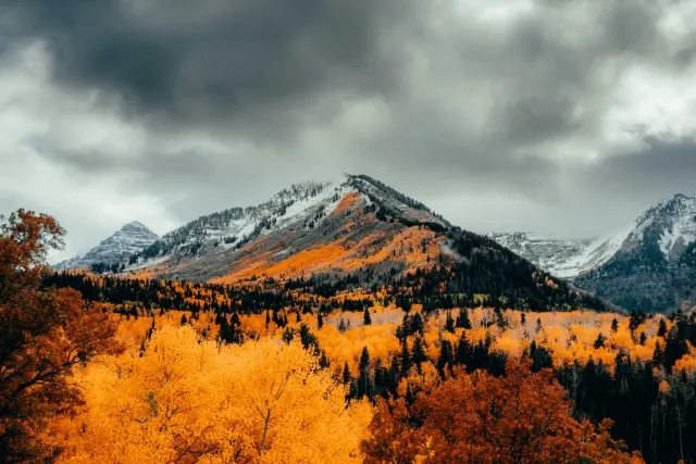 Snow-dusted Wasatch peaks above autumn aspens