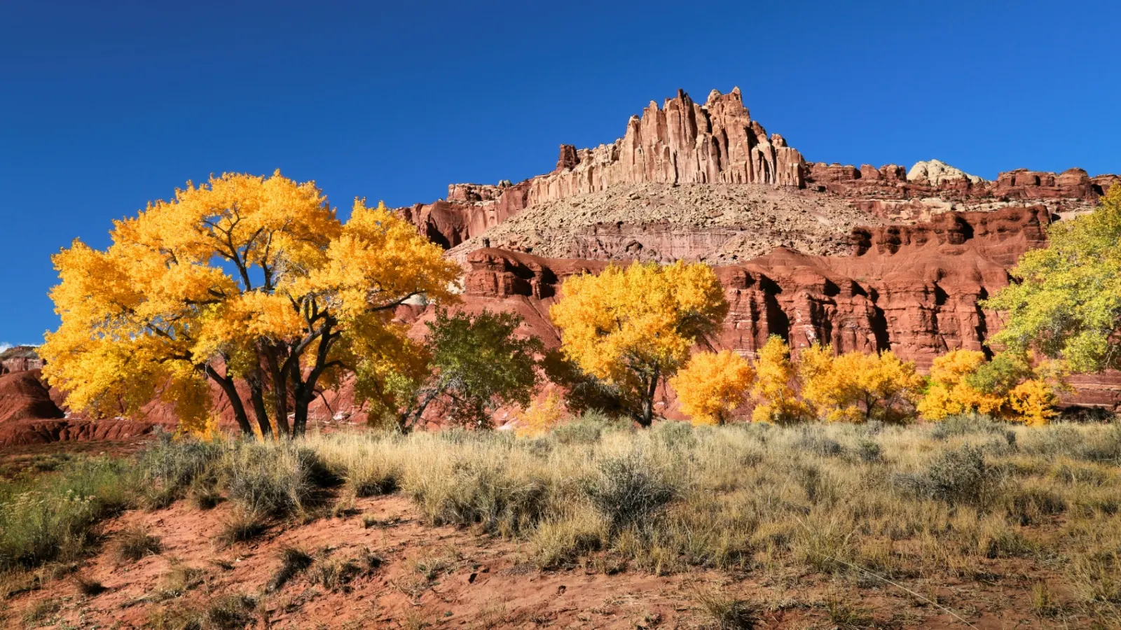 Southern Utah red rock cliffs with golden cottonwoods in autumn — the landscape OnPoint Insurance Group has served from St. George since 2012.
