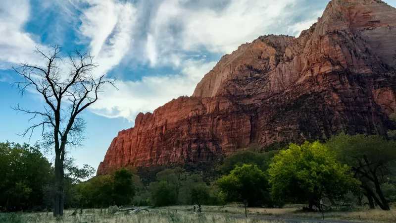 Bare tree standing against a towering red rock mountain face near Ivins, Utah — pre-Medicare and part-year resident health coverage on 84738