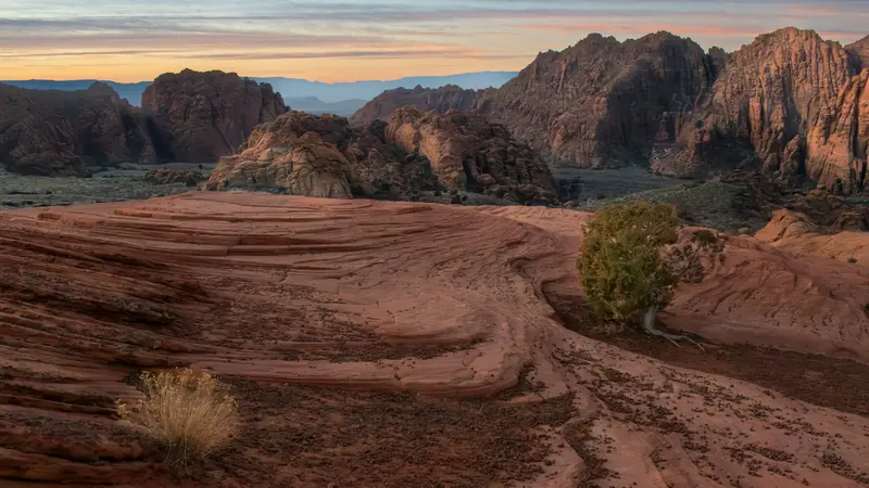 Red sandstone benches and a lone juniper at dusk near Santa Clara, Utah — 84765 ACA health insurance for families and owner-operated small businesses