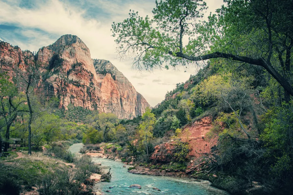Virgin River flowing through Zion National Park canyon