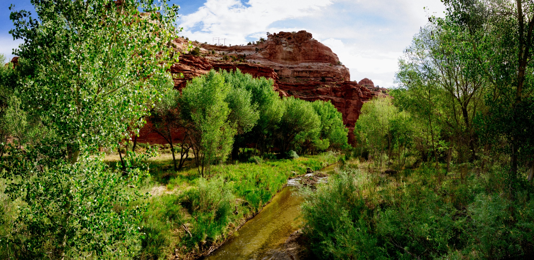 Red sandstone bluffs framed by cottonwoods and willows along a creek near Toquerville, Utah — the wildland edge, orchard drainages, and canyon corridor that shape 84774 home insurance