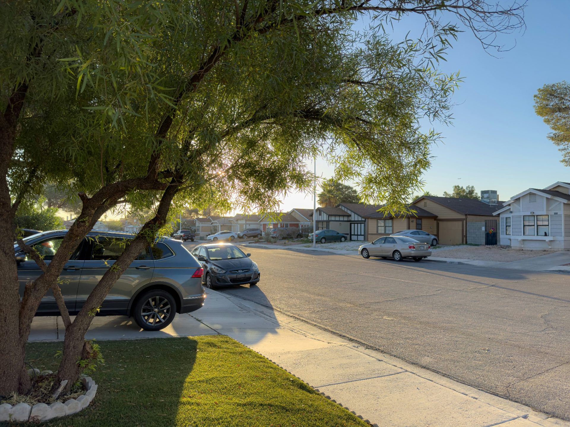 Homeowners insurance Mesquite, NV (89027) — established Mesquite neighborhood at golden hour with mature mesquite trees shading single-story stucco-and-tile homes, the streetscape that shapes rebuild costs and monsoon wind exposure on Clark County 89027 policies
