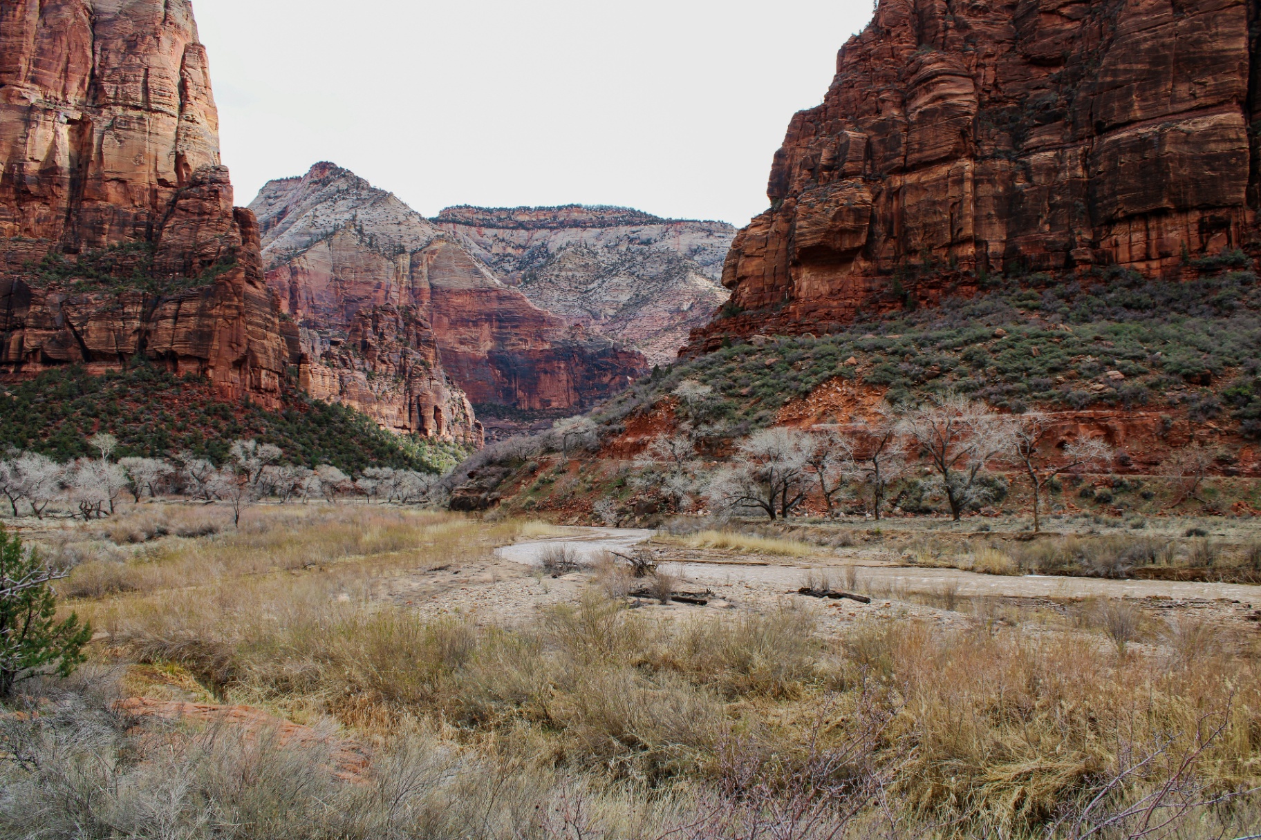 Red sandstone walls and cottonwood-lined valley near Toquerville, Utah — the wildland-urban interface and Hurricane Cliffs exposure carriers rate into every 84774 homeowners insurance quote