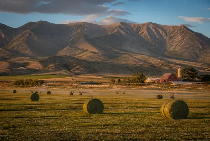 Round hay bales and a wheel-line sprinkler across irrigated alfalfa fields near Salina, Utah with a red barn and grain silo — farm income makes Sevier County subsidy estimates tricky