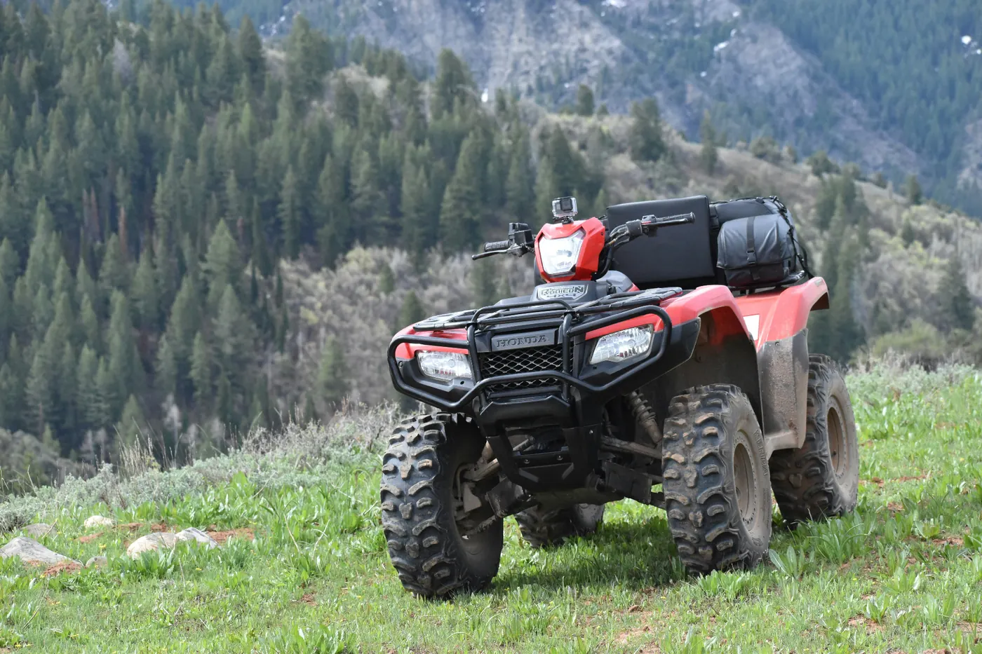 Honda Rubicon ATV on a mountain trail above a pine forest — ATV insurance for Utah mountain riding