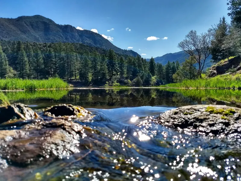 Reflective pond beneath Pine Valley Mountain wilderness with pine forest and high-country light — the 6,700 ft Pine Valley UT environment OnPoint Insurance Group rates auto policies for
