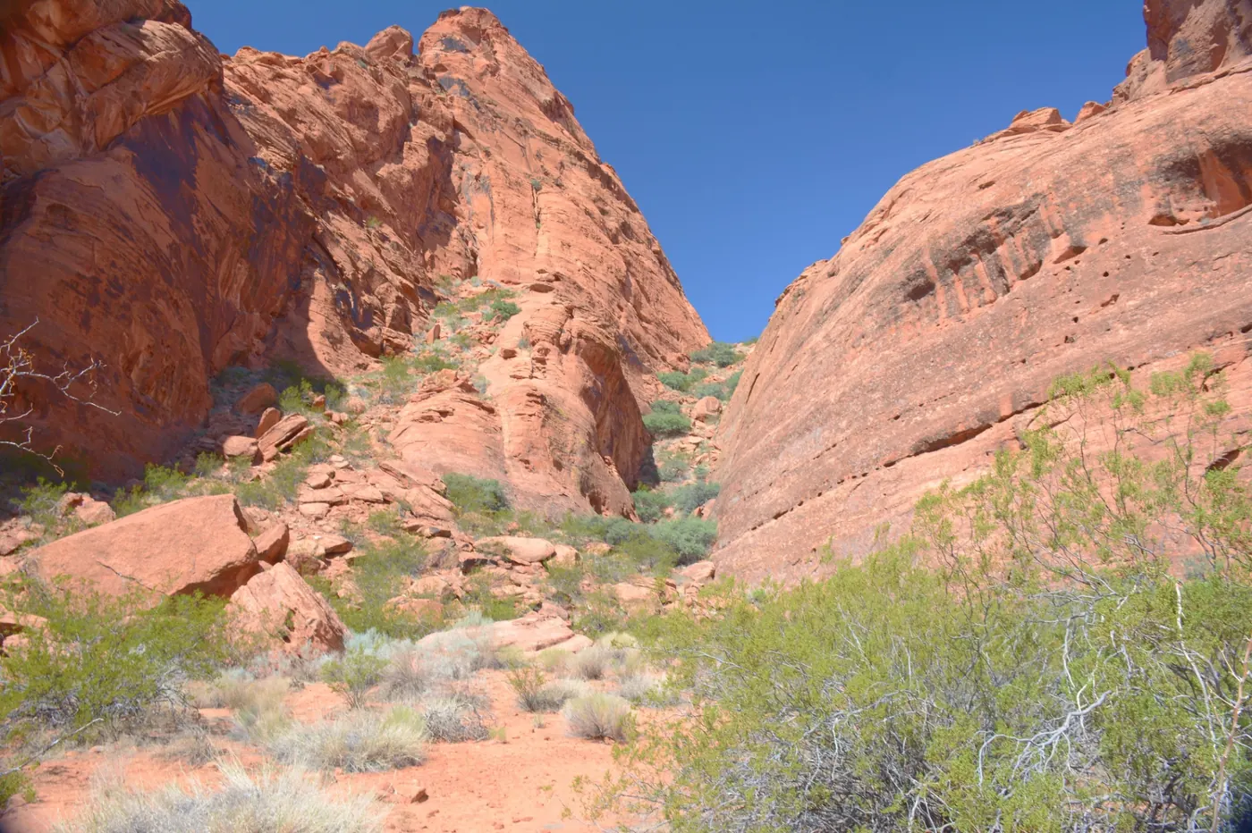 Red sandstone cliffs and desert vegetation in a Snow Canyon-adjacent draw above Ivins, Utah — the wildland-urban interface carriers rate into every 84738 homeowners insurance quote