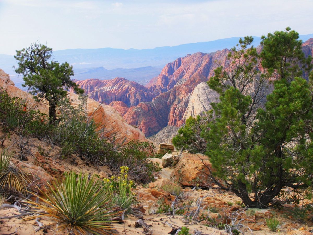 Snow Canyon State Park red and white sandstone cliffs in Southern Utah