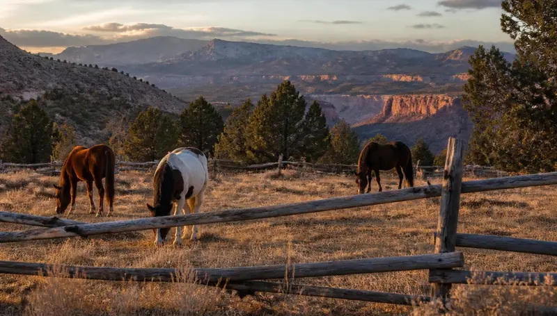 Horses grazing behind a split-rail fence on a high valley ranch near New Harmony, Utah — health insurance and ACA Marketplace enrollment for New Harmony, Utah 84757 households