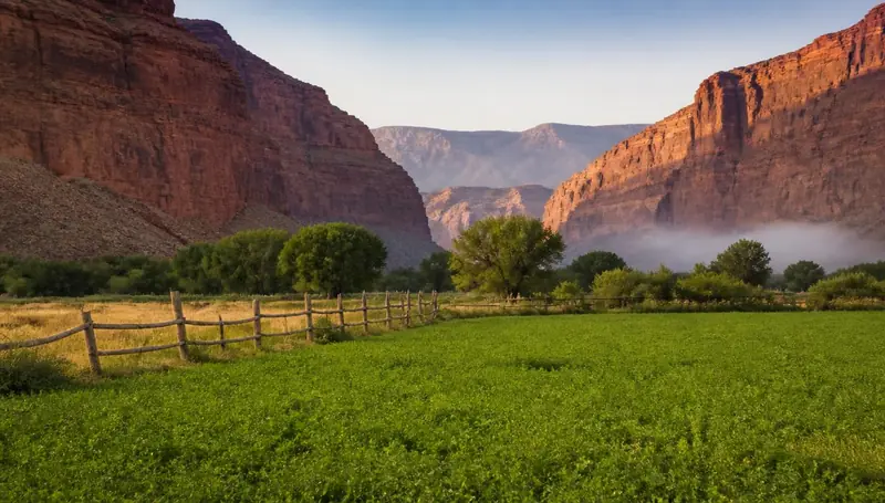 Alfalfa fields and fence lines along the Virgin River corridor in Utah — health insurance and ACA Marketplace enrollment for Virgin, Utah 84779 households