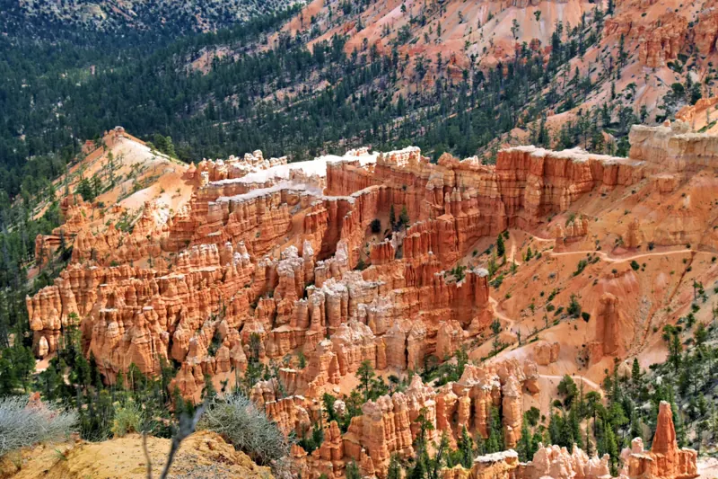 Sunlit red and orange sandstone hoodoos rising above pine forest in the high country above Cedar City, Utah — Cedar Canyon and Cedar Mountain wildland-urban-interface edge carriers price into Iron County homeowners insurance