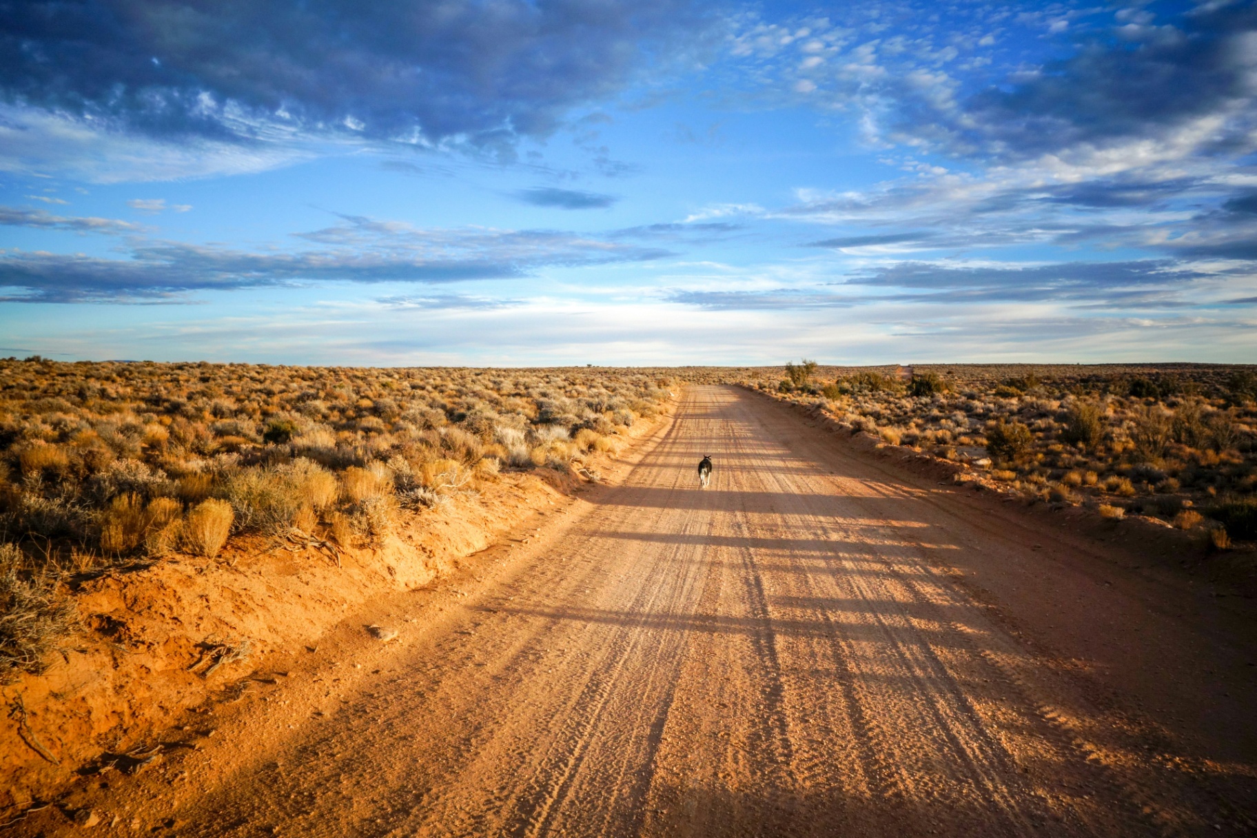 Wide-open Kane County desert road at sunset with sagebrush flats and distant mesas near Kanab, Utah — the remote-Kane-County fire-response distance and wildland exposure that carriers rate into every 84741 homeowners insurance quote
