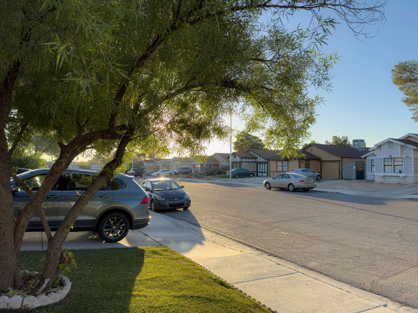 Quiet Mesquite, Nevada residential street with single-story rental homes and mature shade trees