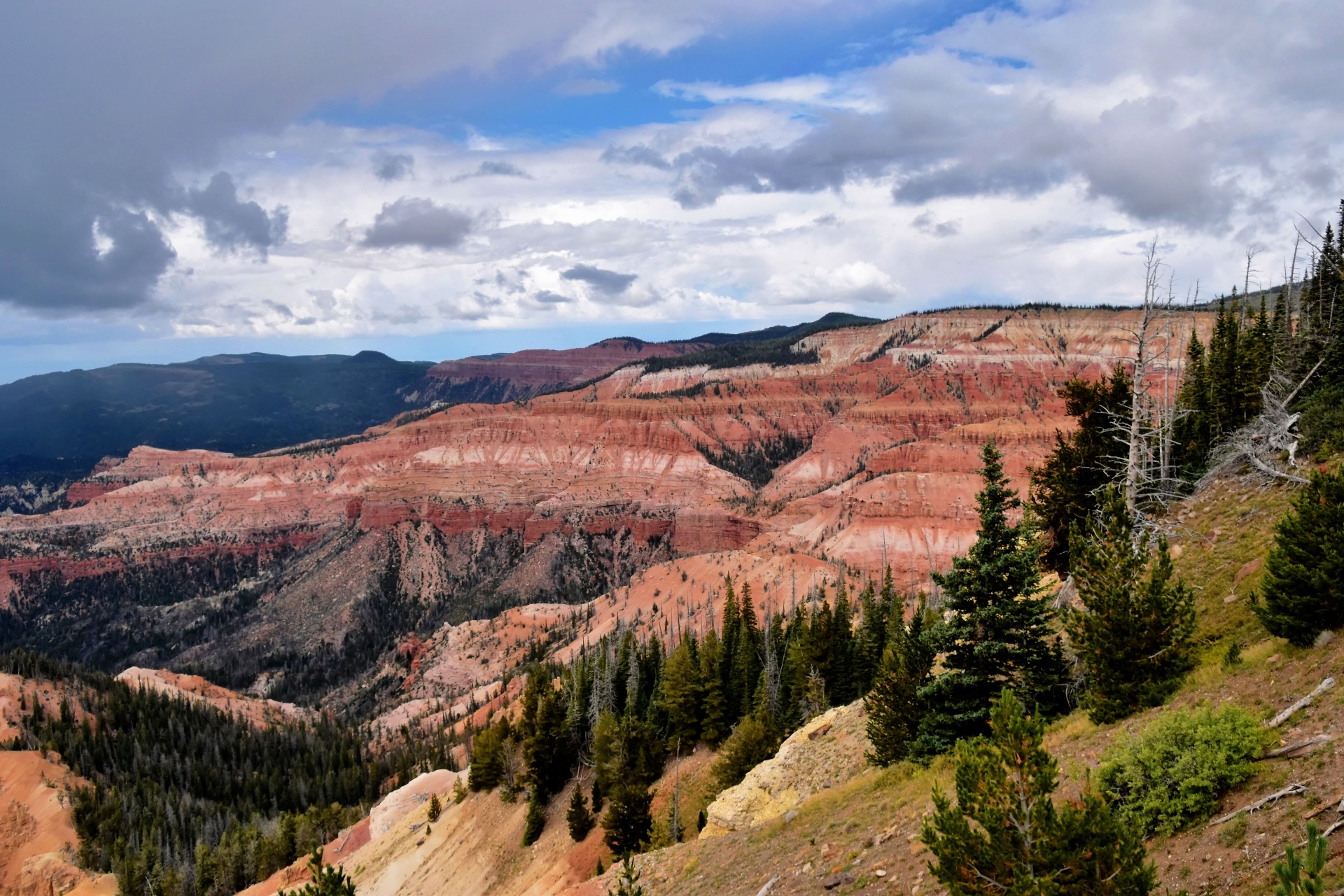 Homeowners insurance Cedar City, Utah — Cedar Breaks National Monument amphitheater with red-and-white limestone cliffs, subalpine forest, and storm clouds above Iron County 84720/84721