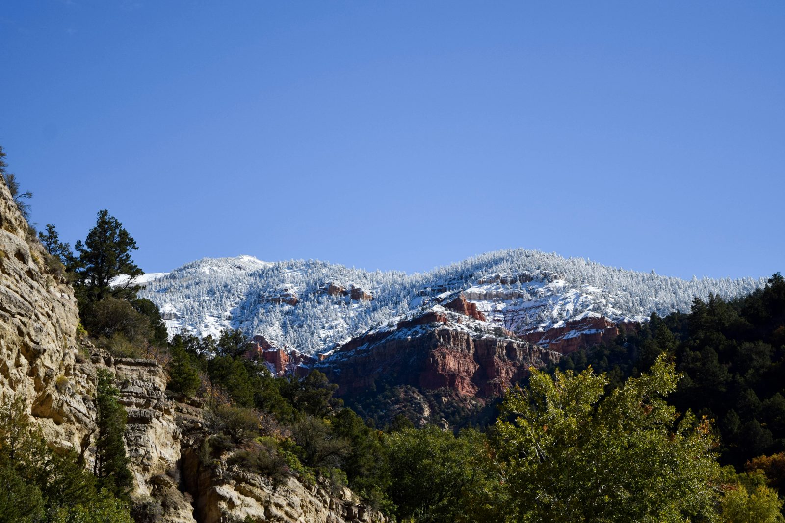 Snow-capped peaks above red rock cliffs near Cedar City, Utah