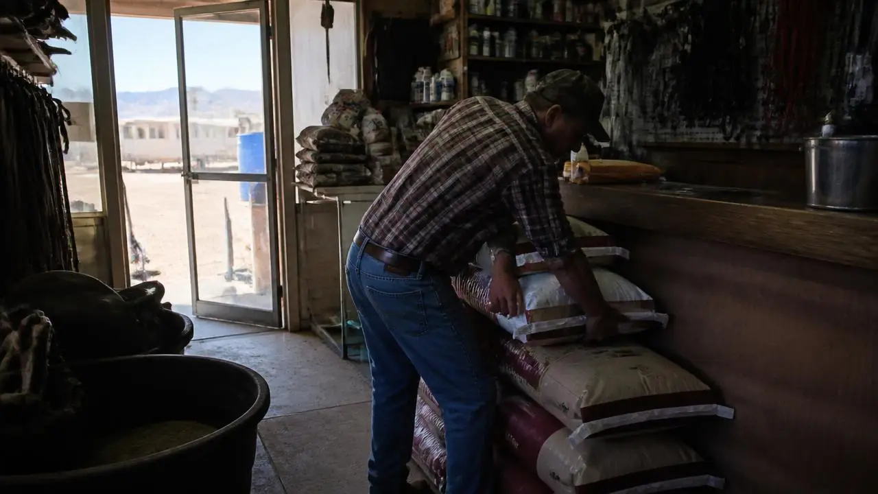 Feed and tack store owner stacking sacks in Apple Valley, Utah — business insurance, BOP, general liability and workers' comp for Apple Valley, Utah 84737 employers