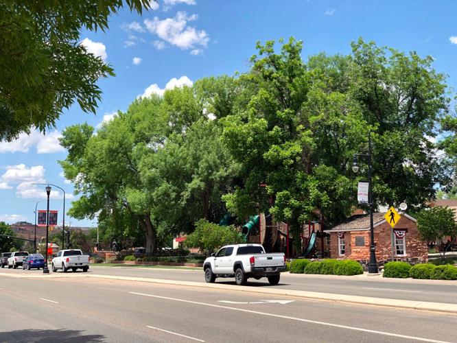 Street view in Washington City, Utah with local traffic, trees, and storefronts near the 84780 corridor
