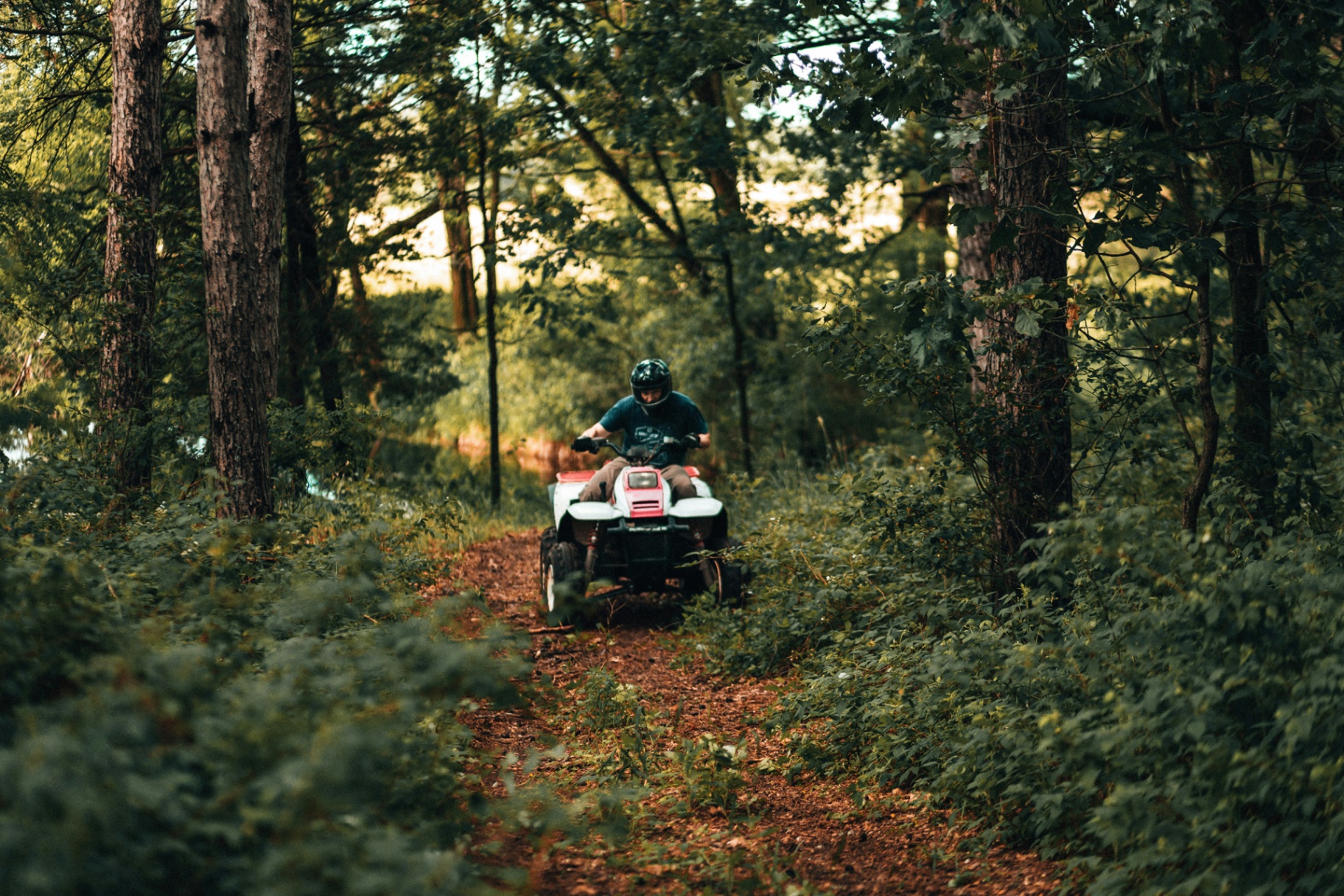 ATV rider on a wooded trail — St. George ATV insurance for Pine Valley and Kolob Terrace forest rides
