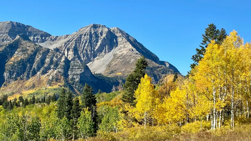Aspens turning gold beneath a Utah mountain peak in fall