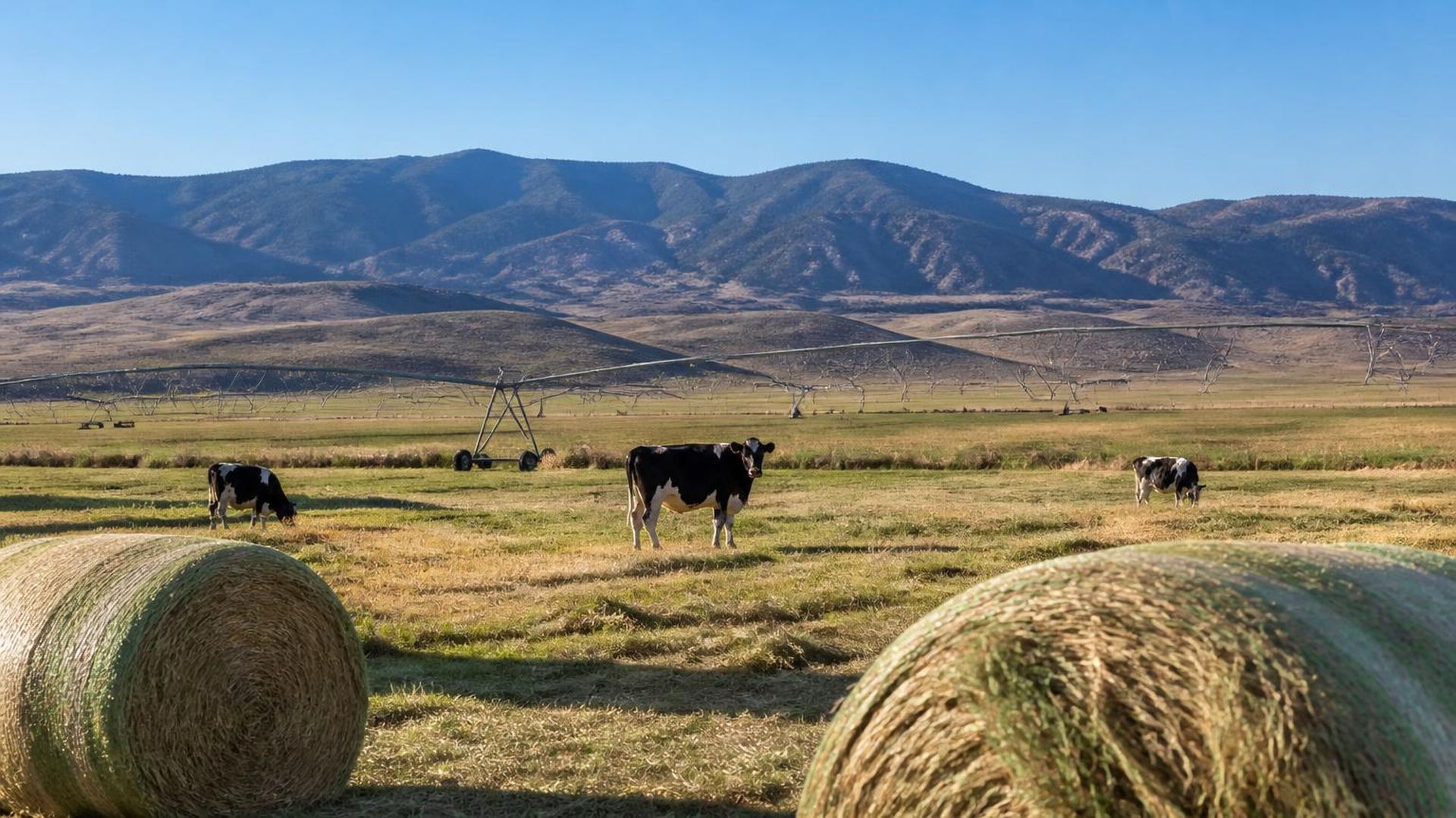 Irrigated farm ground and grain silos across the Escalante Valley at Enterprise, Utah (ZIP 84725) — ACA / Obamacare Marketplace health insurance, subsidies and off-Marketplace plans for Enterprise, Utah households
