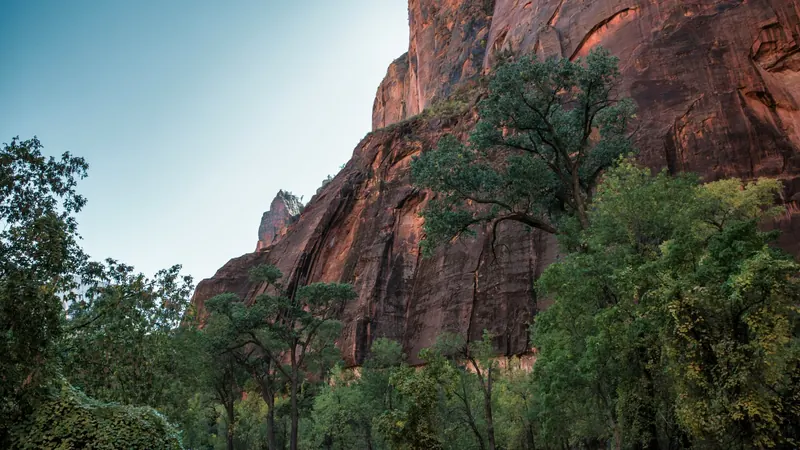 Vertical red rock cliffs with green trees at the base near Ivins, Utah — 84738 ACA and off-Marketplace health insurance for Kayenta, Entrada, and Snow Canyon Parkway households
